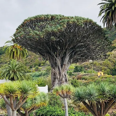Alcamar Apartment! With Beautiful Views Of The Sea! Alcalá la Real