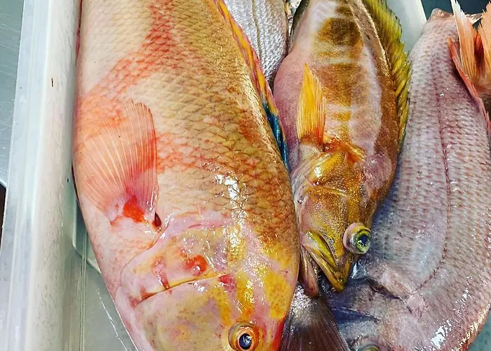 شقة Alcamar Apartment! With Beautiful Views Of The Sea! *